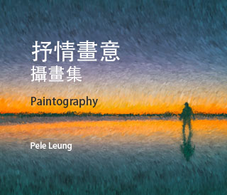 Paintography ebook